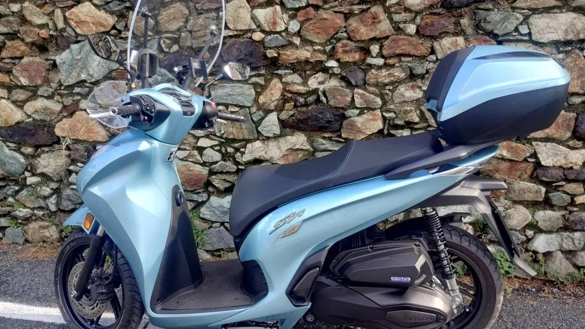 Honda SH 350 Sport (2021 - 24) 
