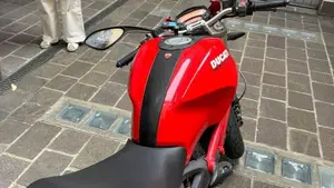 Ducati Monster 696 (2008 - 13)  (11)