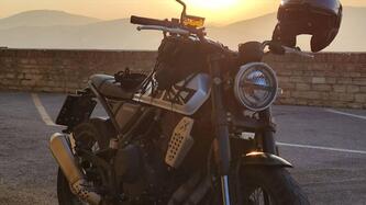 Brixton Motorcycles Crossfire 500 X (2021 - 26) usata