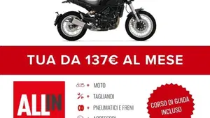 Benelli Leoncino 500 (2021 - 25)  (2)