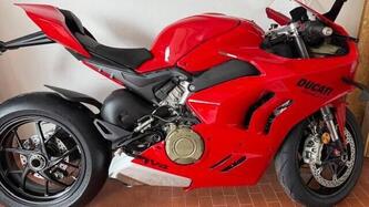 Ducati Panigale V4 (2022 - 24) usata