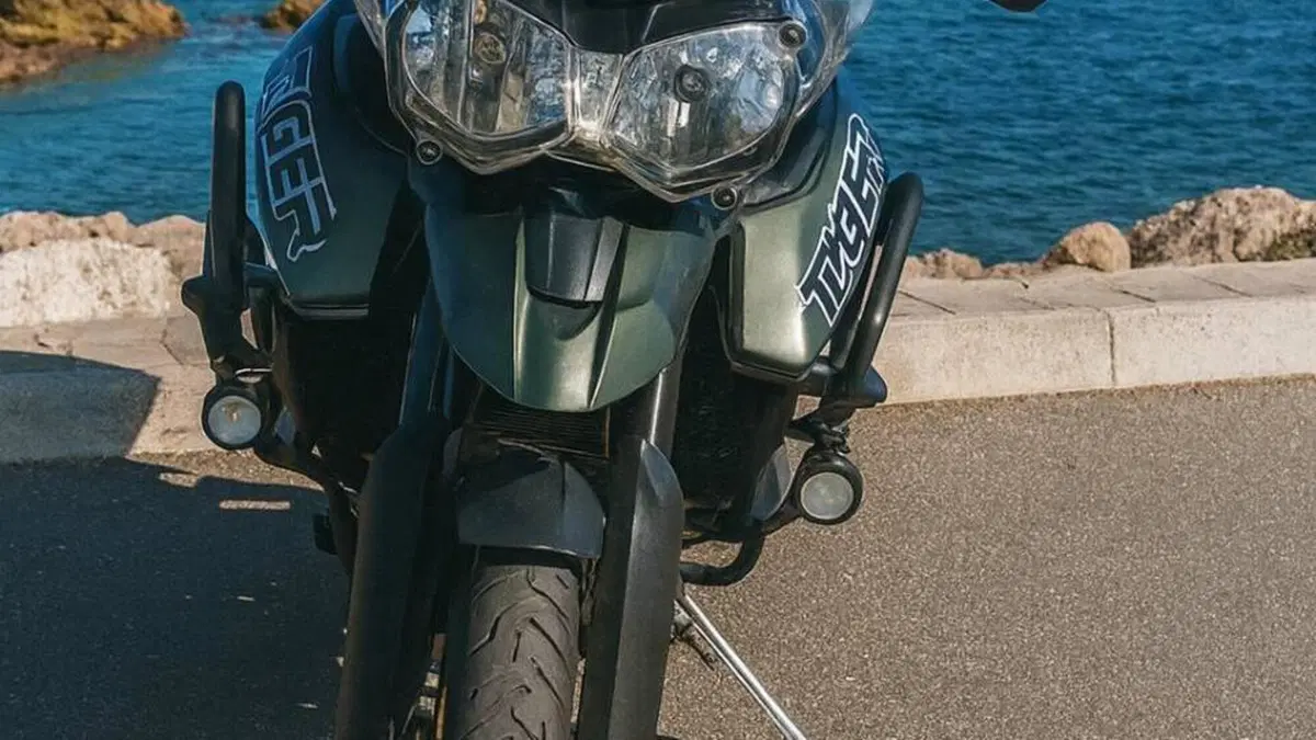 Triumph Tiger 800 XCx (2018 - 20)  (2)