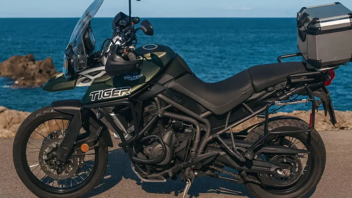 Triumph Tiger 800 XCx (2018 - 20)  (3)