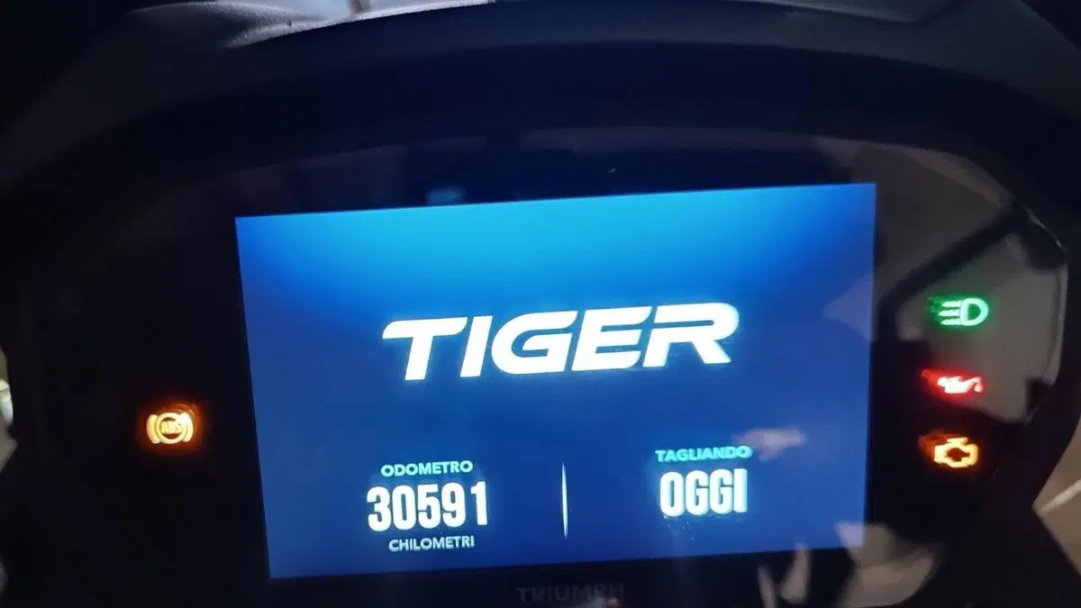 Triumph Tiger 800 XCx (2018 - 20)  (5)