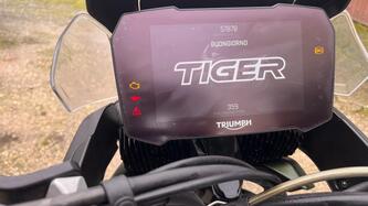 Triumph Tiger 900 Rally (2020 - 23) usata