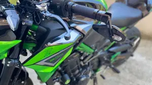 Kawasaki Z 900 Performance (2021 - 24)  (3)