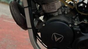 Vent Derapage 50 (2021 - 25) 