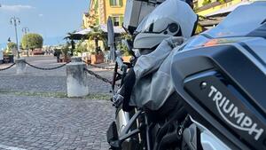 Triumph Tiger 1200 Alpine Edition (2020) 