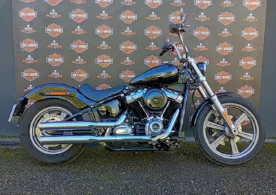 Harley-Davidson Softail Standard (2021 - 25) - Annuncio 9936642