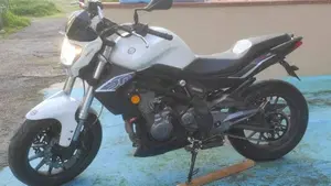 Benelli BN 302 (2014 - 16)  (2)
