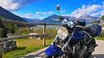 Honda Hornet 600 (2003 - 04) usata