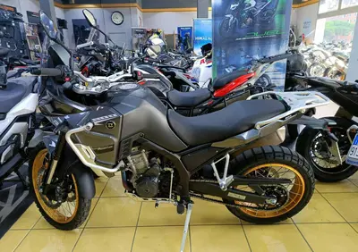 Kove 800 Rally (2025 - 26) - Annuncio 9937606