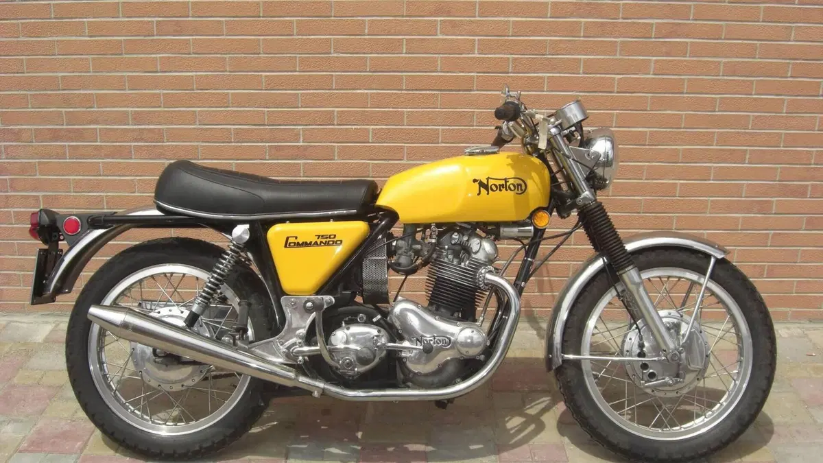Norton  