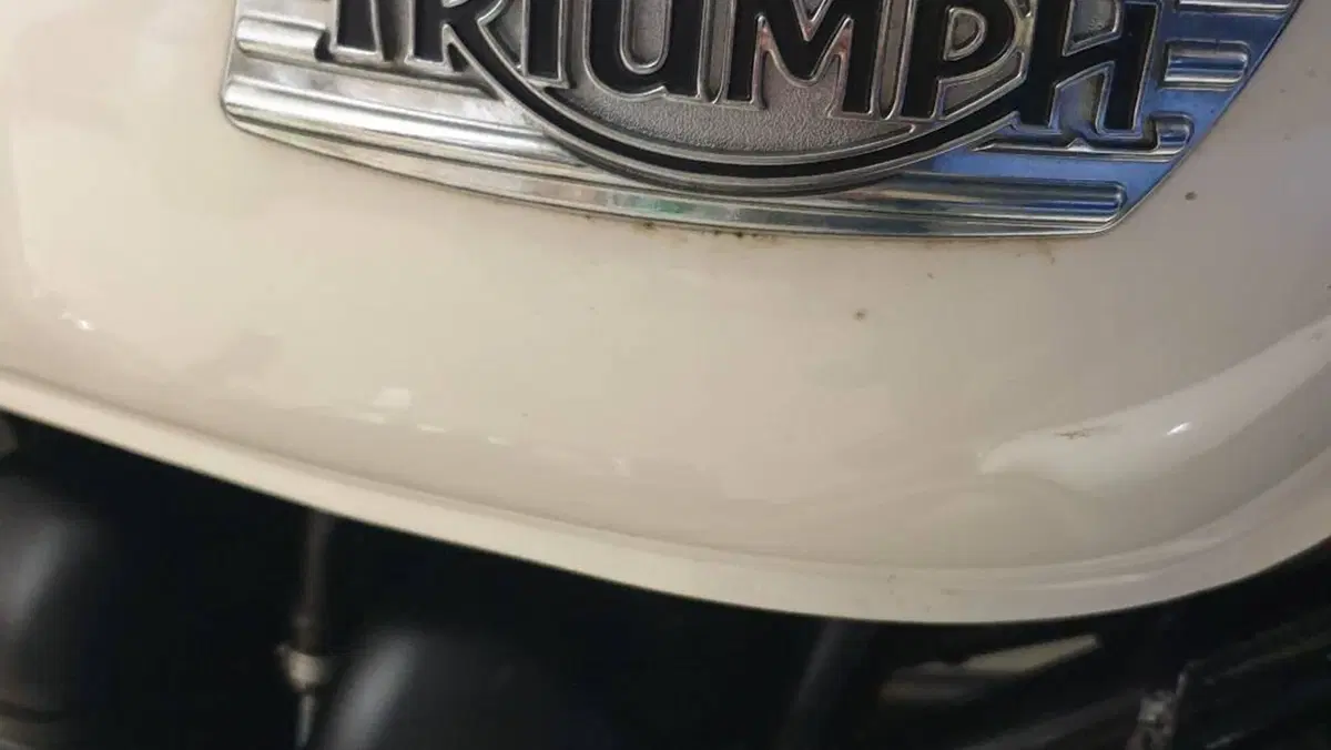 Triumph Bonneville (2007 - 16)  (2)