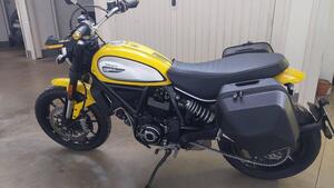 Ducati Scrambler 800 Icon (2017 - 20) 