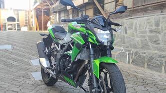 Kawasaki Z 125 (2019 - 20) usata