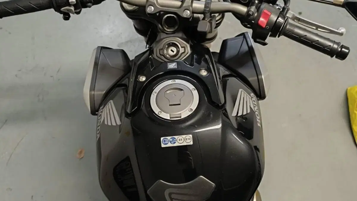Honda CB 650 R (2019 - 20)  (4)