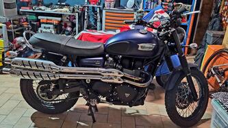 Triumph Scrambler (2006 - 17) usata