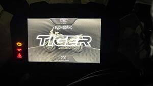 Triumph Tiger 900 Rally Pro (2020 - 23) 