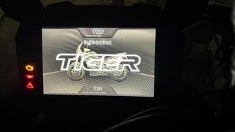 Triumph Tiger 900 Rally Pro (2020 - 23) usata
