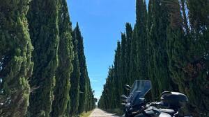 Yamaha Tracer 9 (2021 - 24) 