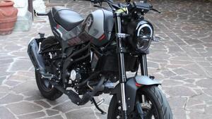 Benelli Leoncino 125 (2022 - 25) 