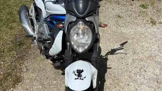 Suzuki Gladius 650 SFV (2009 - 15) usata