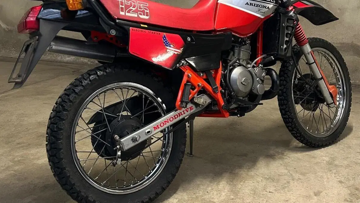 Gilera   (13)