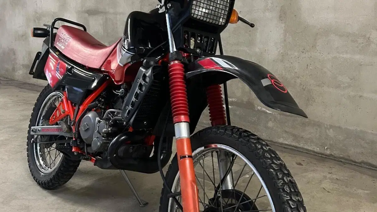 Gilera   (14)