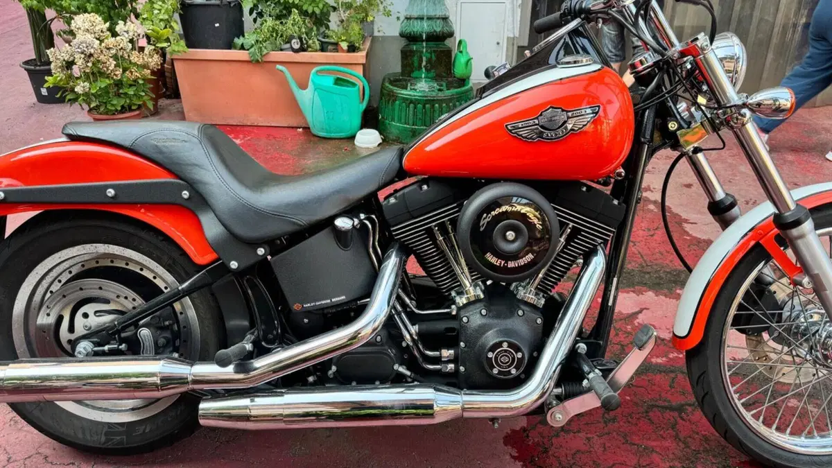 Harley-Davidson 1450 Night Train (2002 - 05) - FXSTBI  (14)