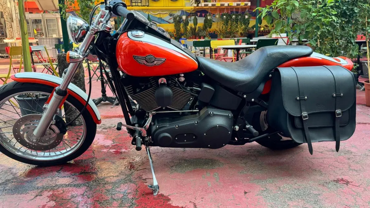 Harley-Davidson 1450 Night Train (2002 - 05) - FXSTBI  (15)