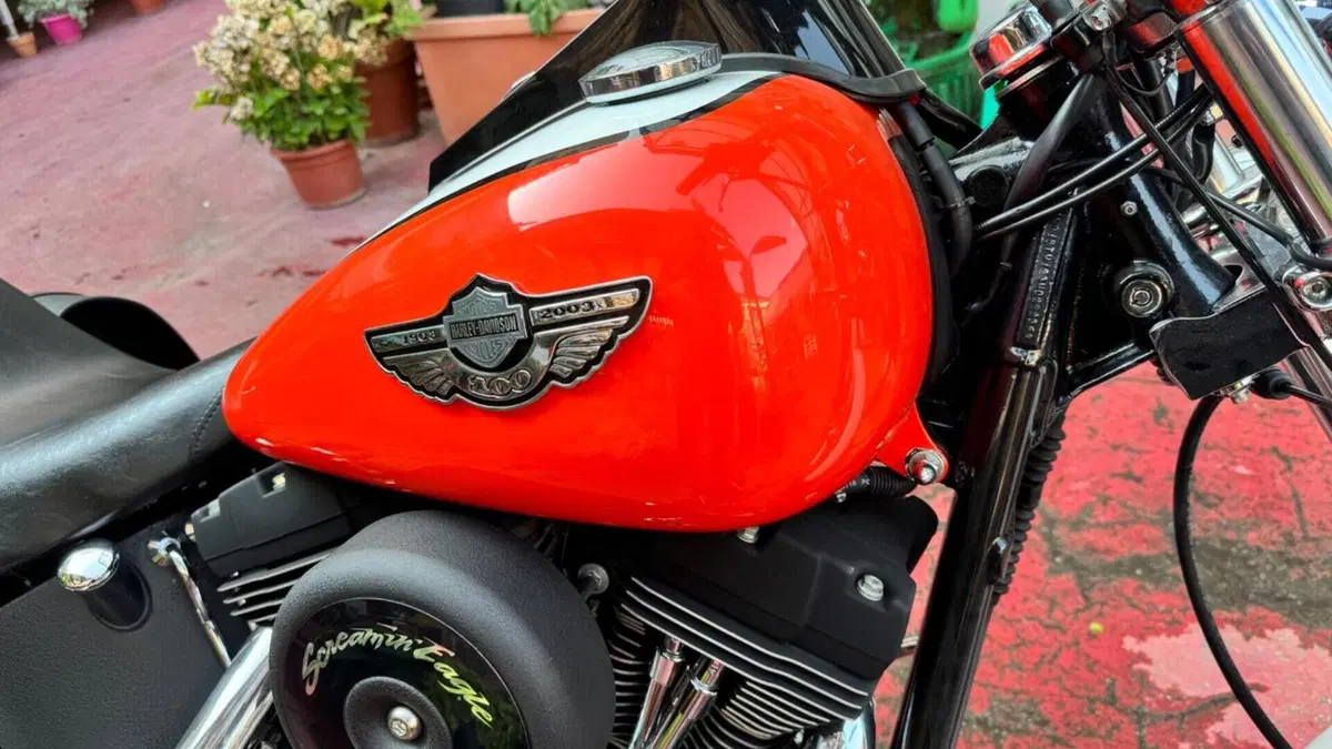Harley-Davidson 1450 Night Train (2002 - 05) - FXSTBI  (16)