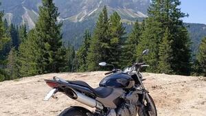 Honda Hornet 600 (2003 - 04) 