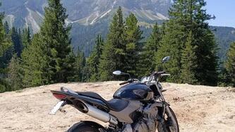 Honda Hornet 600 (2003 - 04) usata