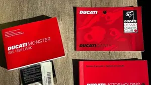 Ducati Monster 695 (2006 - 08)  (9)