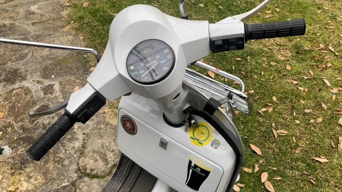 Piaggio   (15)