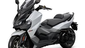 Sym Maxsym TL 508 (2025 - 26) 