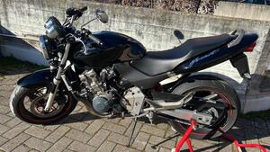 Honda Hornet 600 (2000 - 02) 