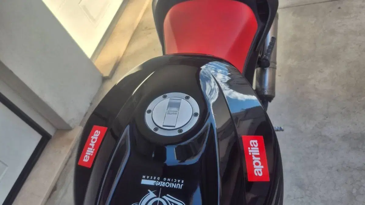 Aprilia RS 125 (2006 - 14)  (7)