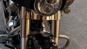 Harley-Davidson Street Glide Special (2021 - 23)  (8)