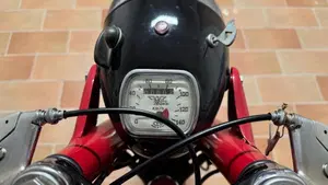 Morini   (3)