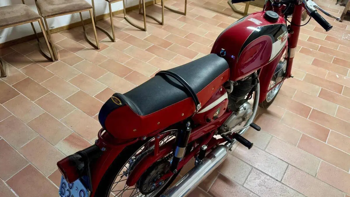 Morini   (6)