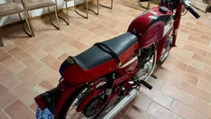Morini   (6)