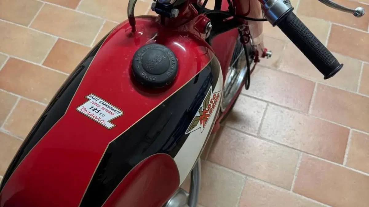 Morini   (7)