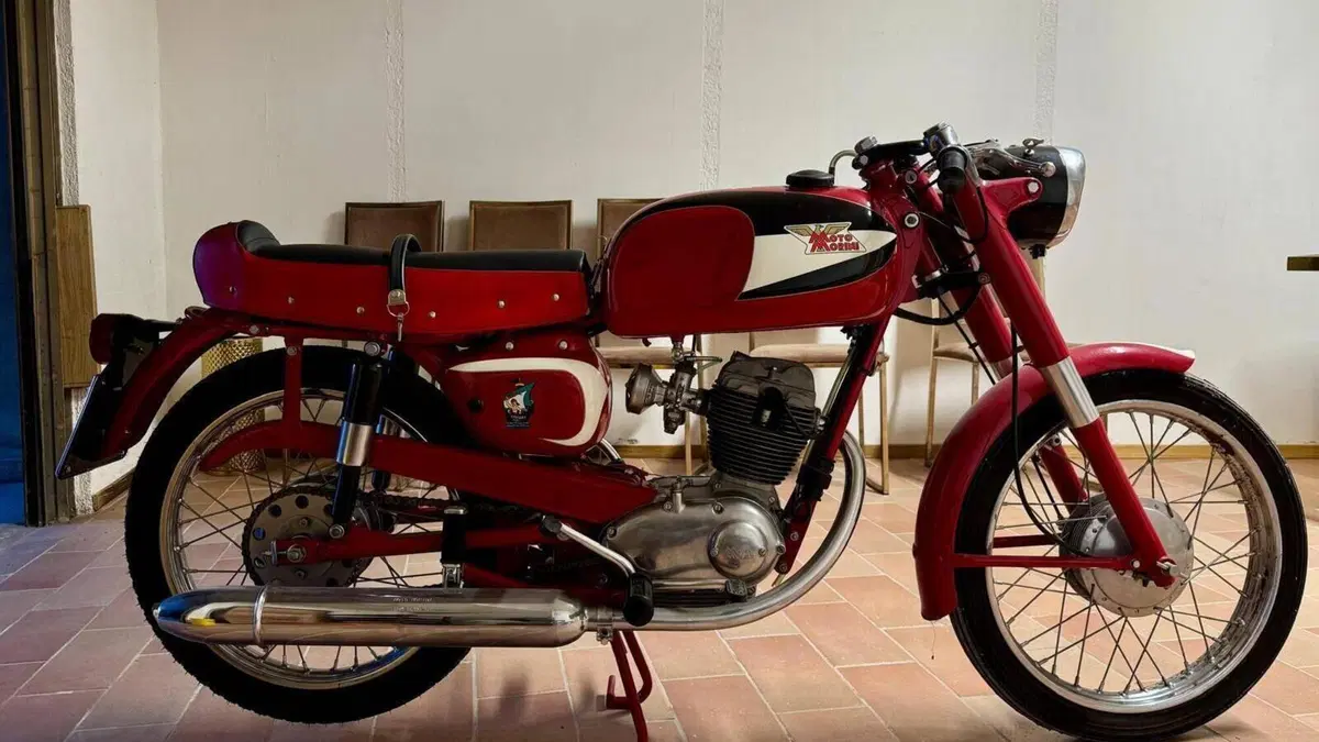 Morini   (4)