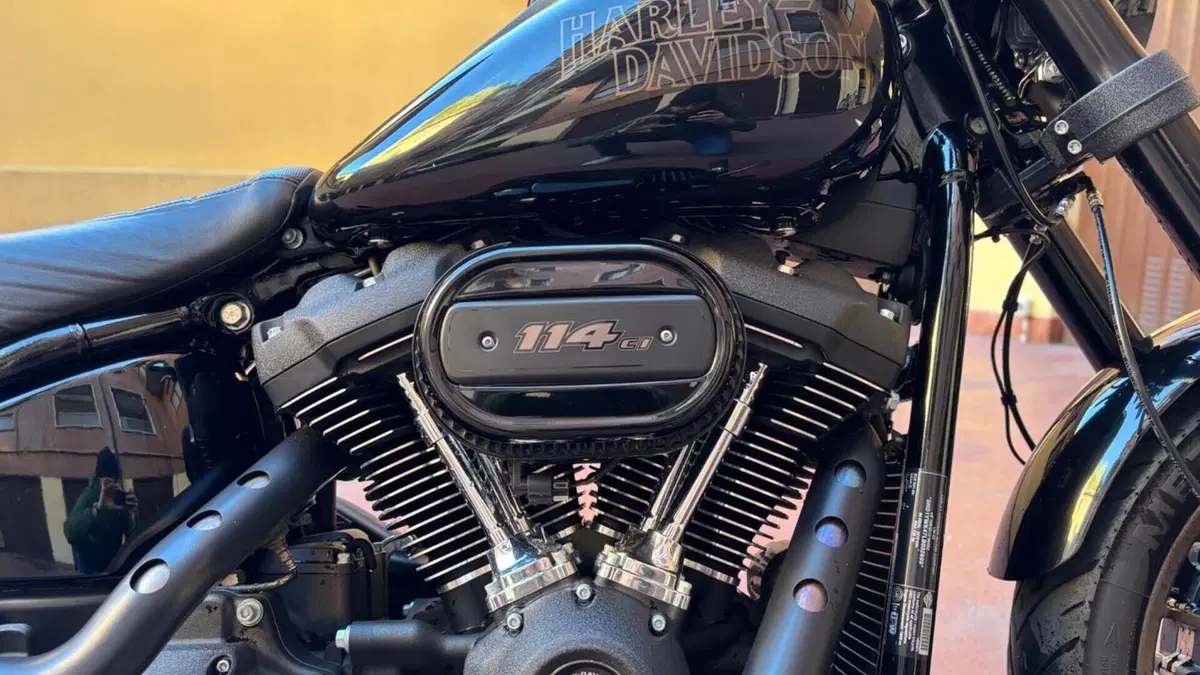 Harley-Davidson Low Rider S (2022 - 24)  (5)