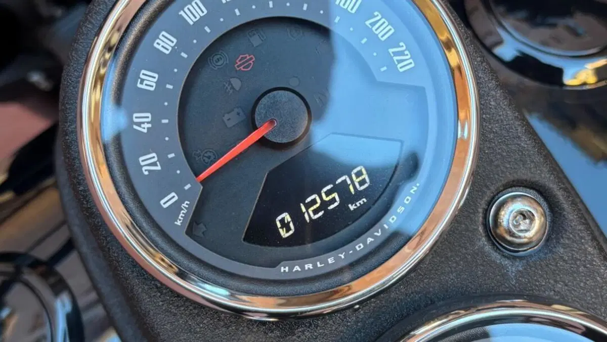 Harley-Davidson Low Rider S (2022 - 24)  (9)