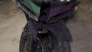 Kawasaki Ninja 500 (2024 - 26) 