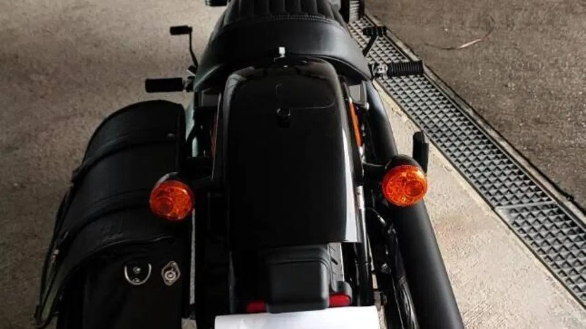 Harley-Davidson Street Bob 114 (2021 - 24)  (8)