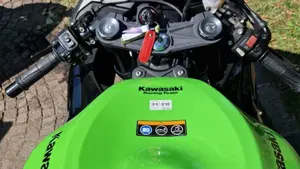 Kawasaki Ninja 636 ZX-6R KRT (2019 - 20)  (6)